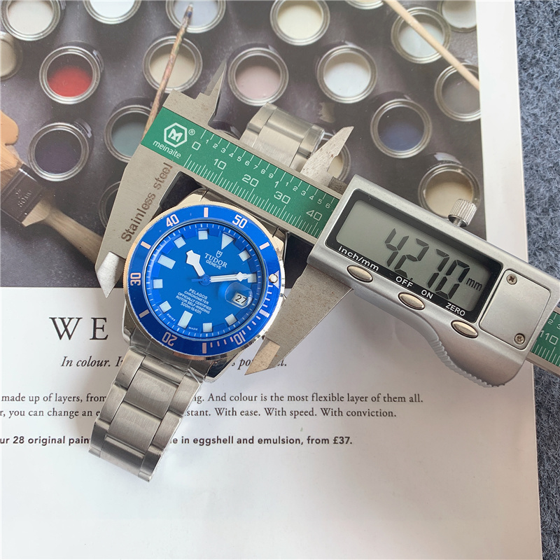 TUDOR - 17