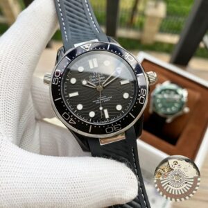 Variante 7